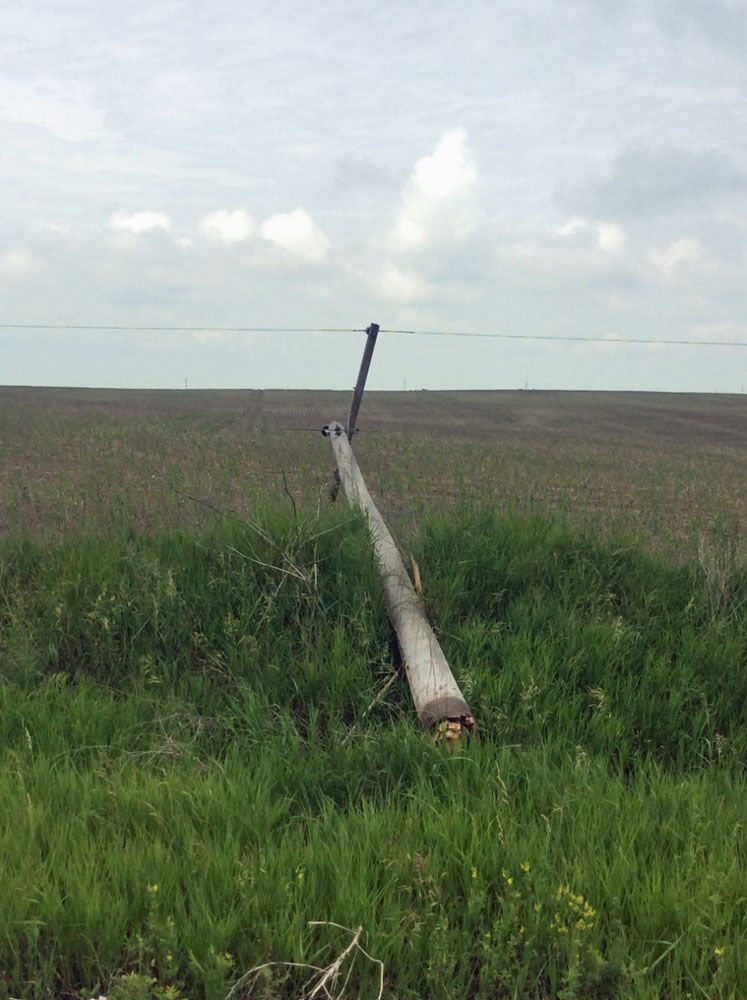 PowerPole.jpg